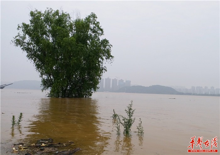 湖南湘江水位最新,湖南湘江水位最新消息新闻