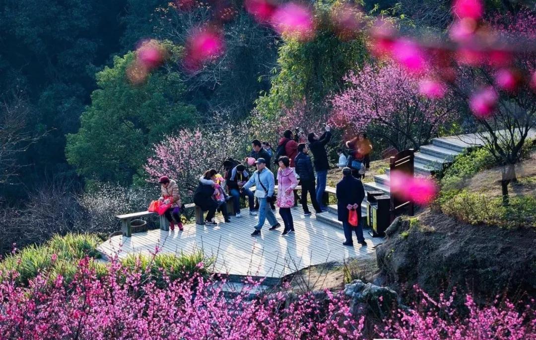 山东烟台福山区最新地图揭示城市发展脉络与活力涌动